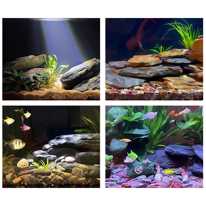 500/1000g 어항 조경석 키트 슬레이트 석재 테라 - Marine Fish Tank 리뷰 및 가격