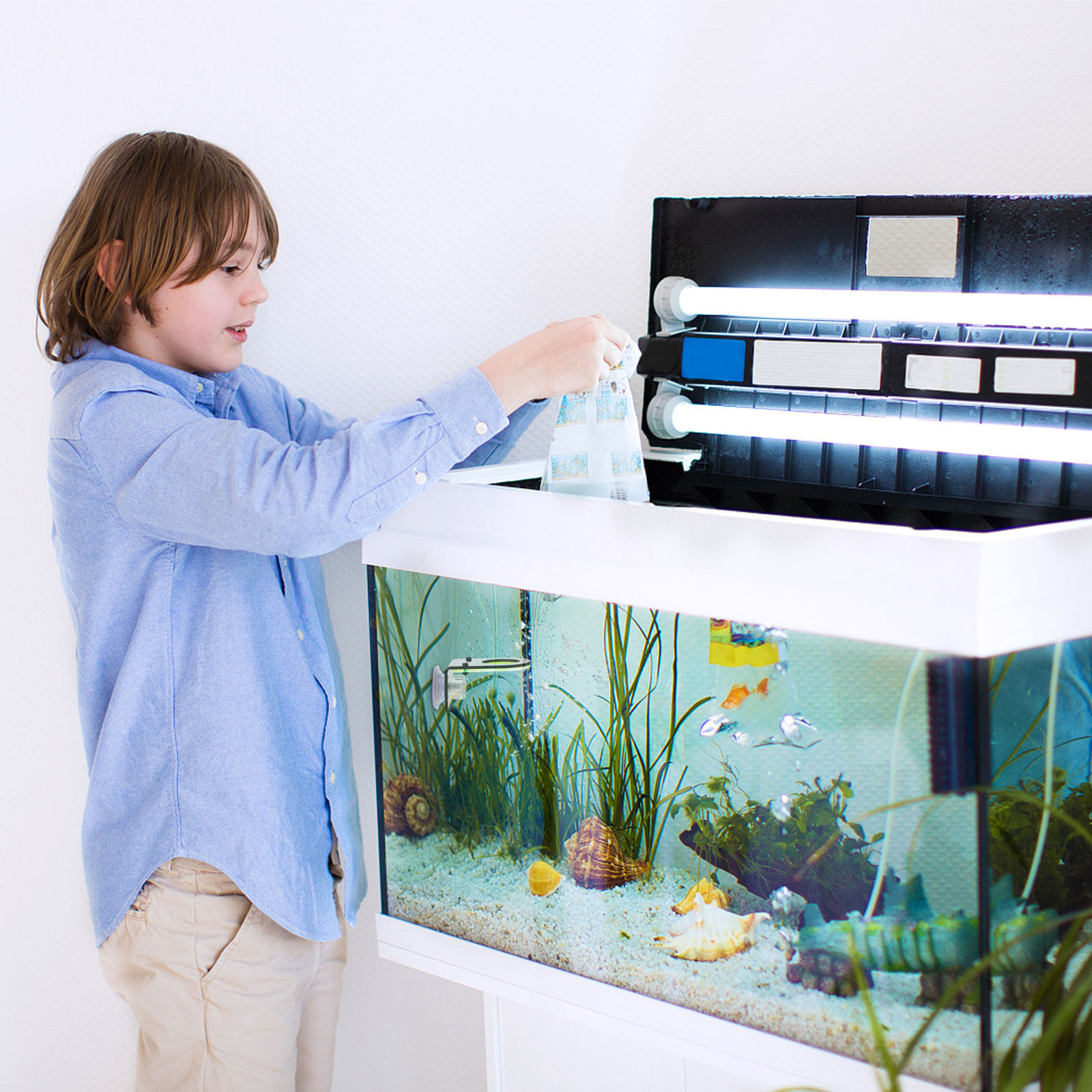 2개 세트, 아크릴 소재의 안정적인 산호 보호대, 산호 - Reef Aquarium 리뷰 및 가격