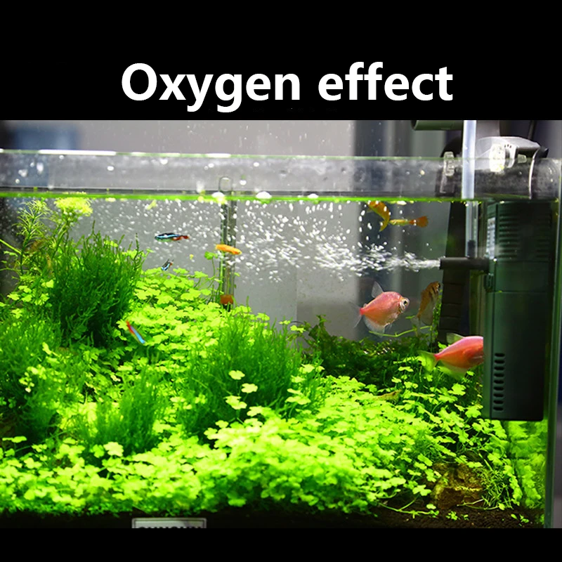 SUNSUN 미니 나노 111B, 311B, 611B, - Reef Tank Filter 리뷰 및 가격
